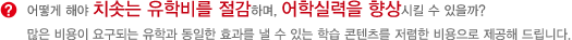 어떻게 해야 치솟는 유학비를 절감하며 어학실력을 향상시킬 수 있을까?